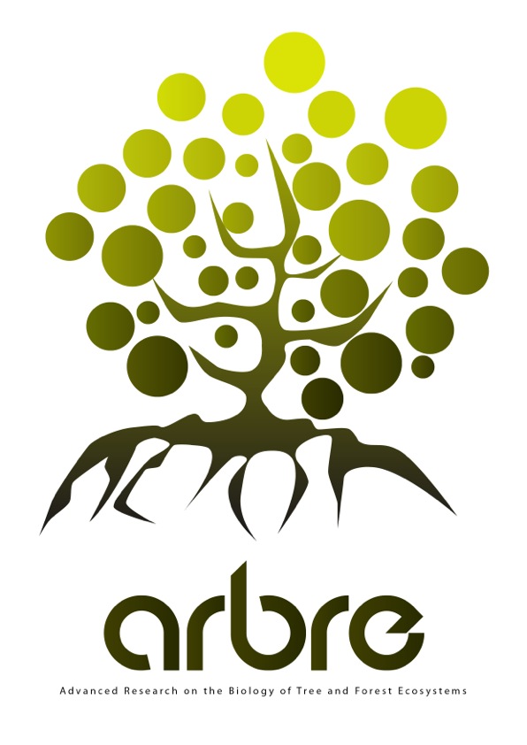 logo_arbre.jpeg