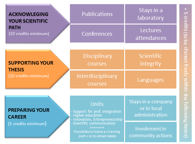 training scheme